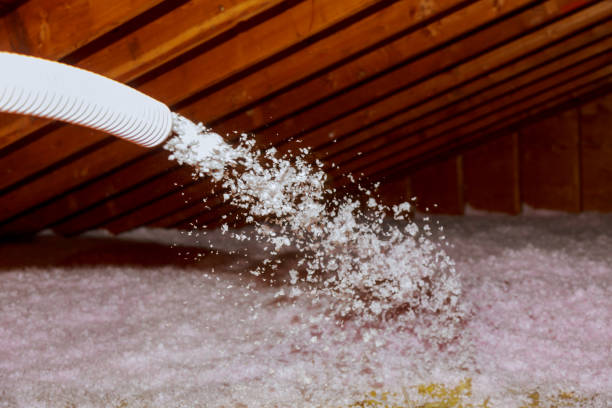 Best Crawl Space Insulation  in Proctor, VT