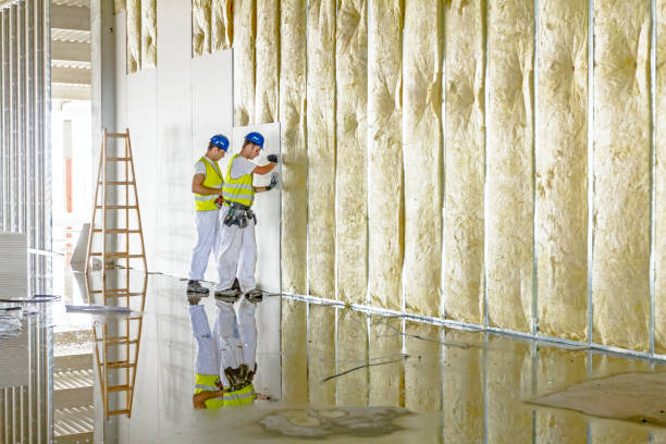 Best Attic Insulation Installation  in Proctor, VT